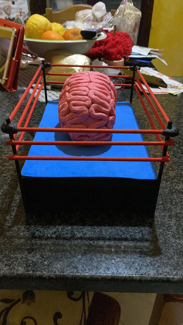 cervello 2