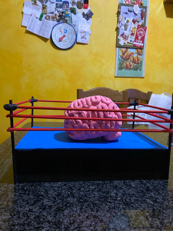 cervello 2