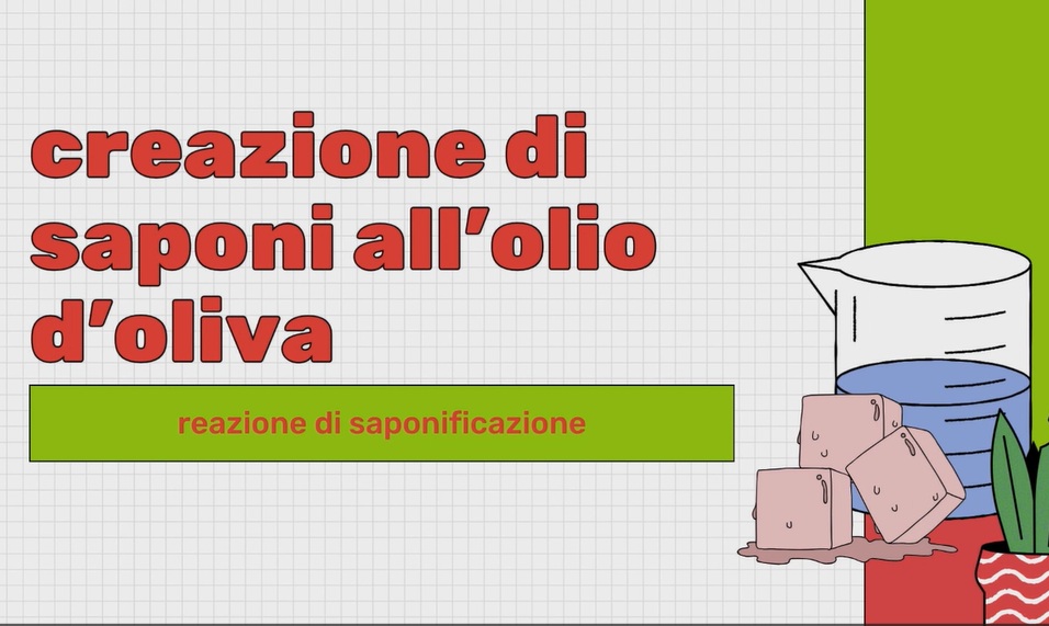 Saponi all’olio d’oliva