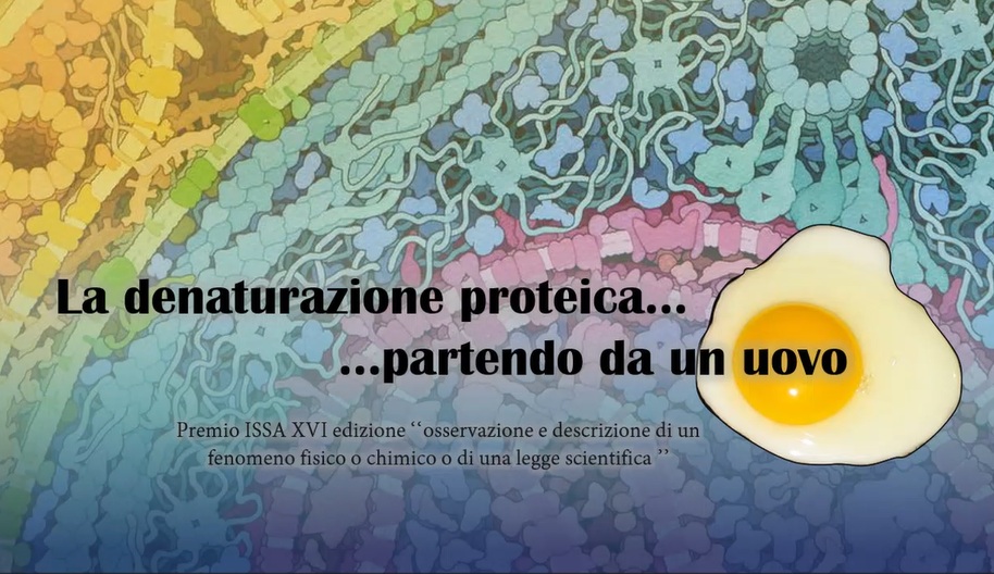 Denaturazione proteica