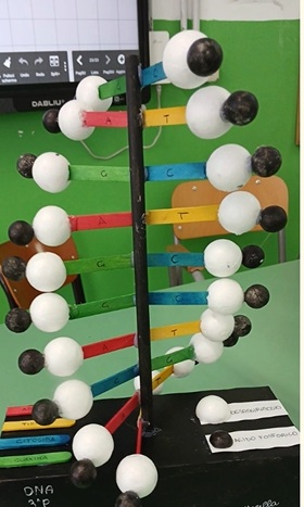 Estrazione DNA