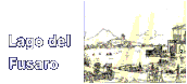 Image 2b