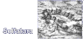 Image 1b