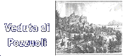 Image 2b