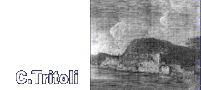 Image 1b